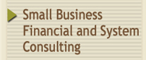 Small Business Financial and System Consulting